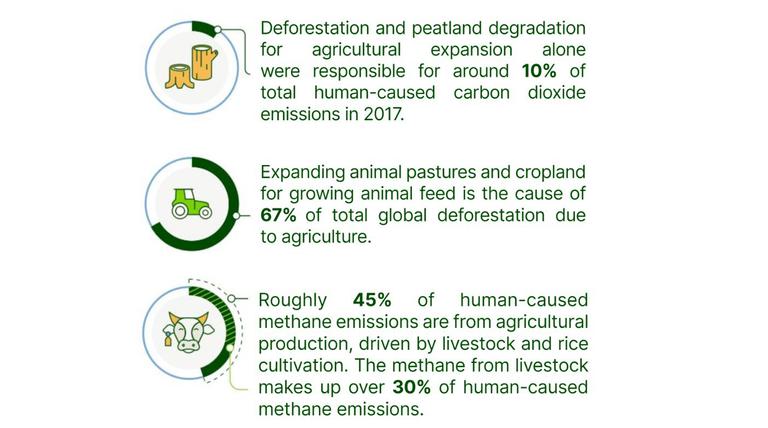 Animal Ag GHG Sources2