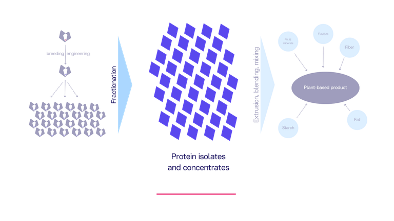 PB Focus Raw Materials