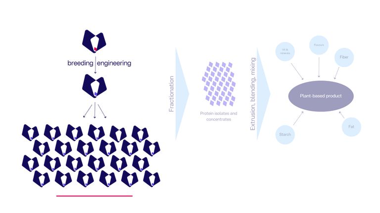 PB Focus Source