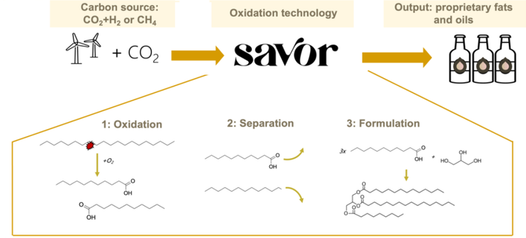 Savor process for blog