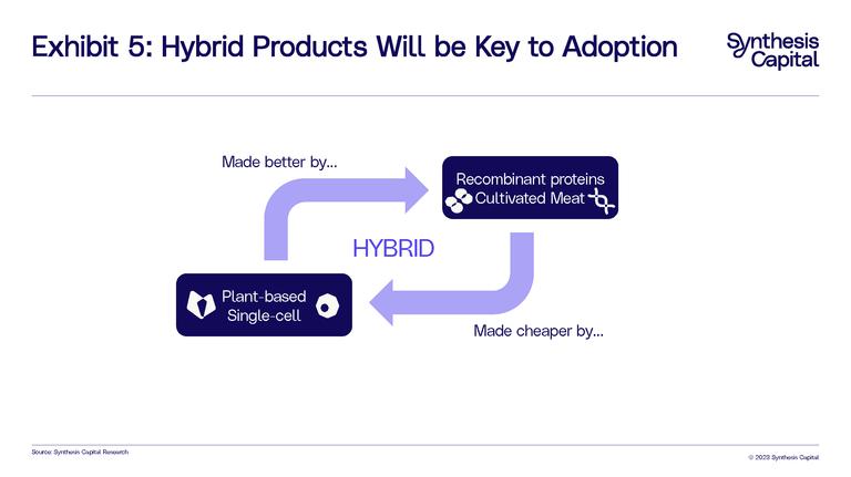 Synthesis Capital Adoption Pathway Diagrams Page 05